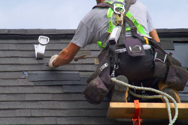 Best Roof Gutter Cleaning  in Chatmoss, VA
