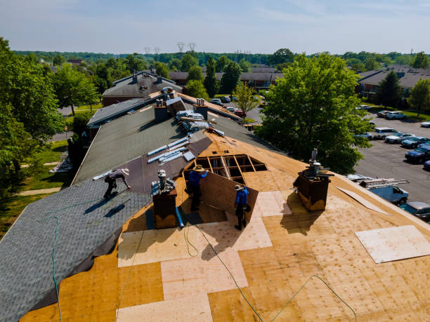 Best Roof Leak Repair  in Chatmoss, VA