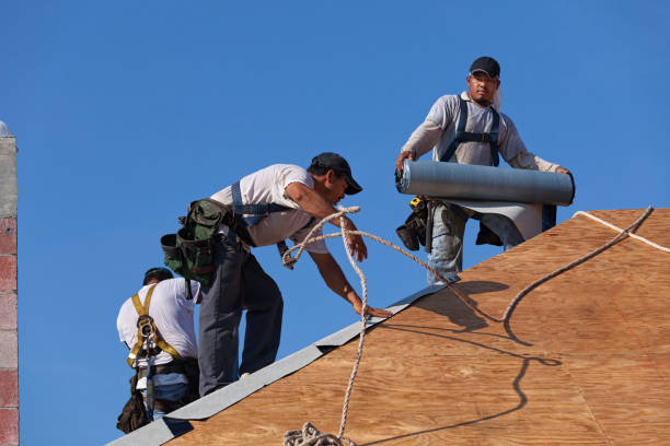 Best Metal Roofing Contractor  in Chatmoss, VA