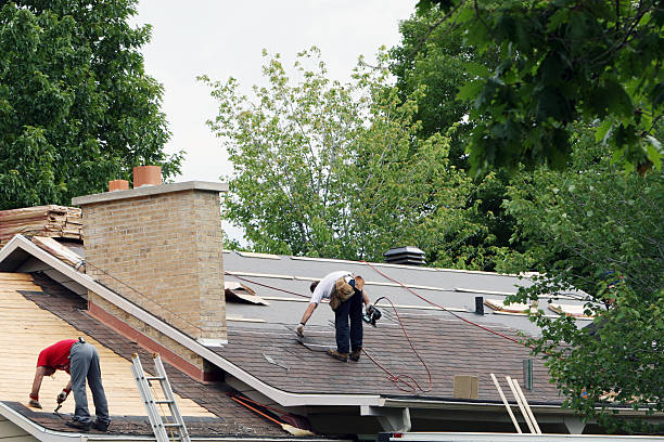 Best Roof Maintenance Services  in Chatmoss, VA