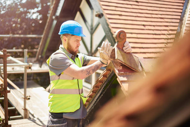 Best Gutter Installation and Roofing  in Chatmoss, VA