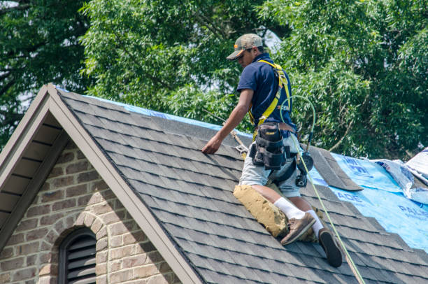 Best Roofing Contractors for Homes  in Chatmoss, VA